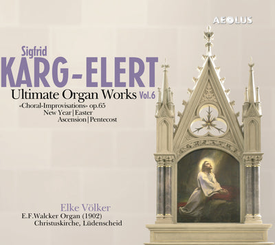 Image Ultimate Organ Works Vol.6